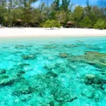 Playa de Indonesia, de Gili Meno con agua transparente y turquesa, arena blanca y vegetación con palmeras