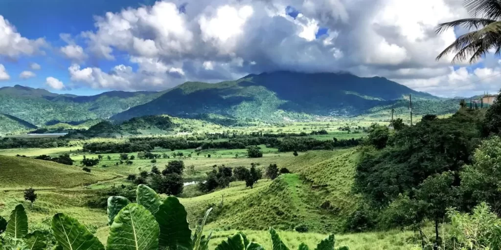 Parque Nacional de El Yunque en Puerto Rico